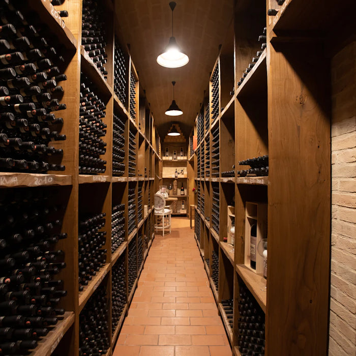 Storing Different Types of Wines A Guide