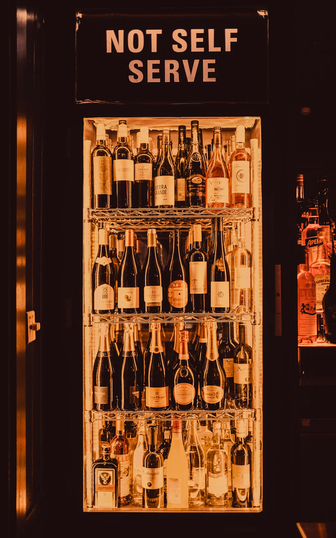 Optimal Dual Zone Wine Refrigerators for Any Collection — Bar Source USA