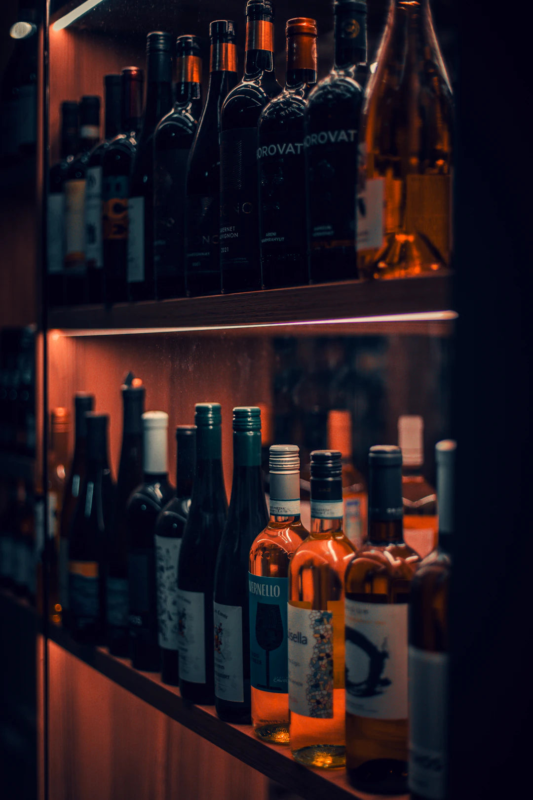 Avoid These Common Mistakes When Using a Wine Fridge