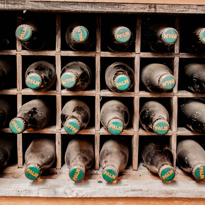 Sustainable Wine Storage Eco-Friendly Options to Consider