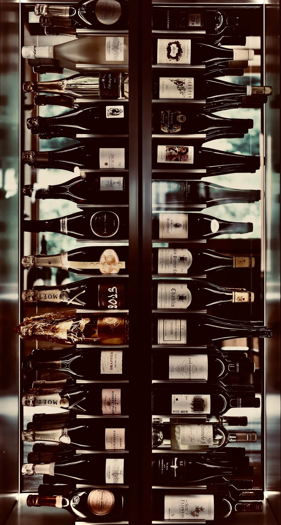 Choosing the Perfect Wine Fridge for Your Home