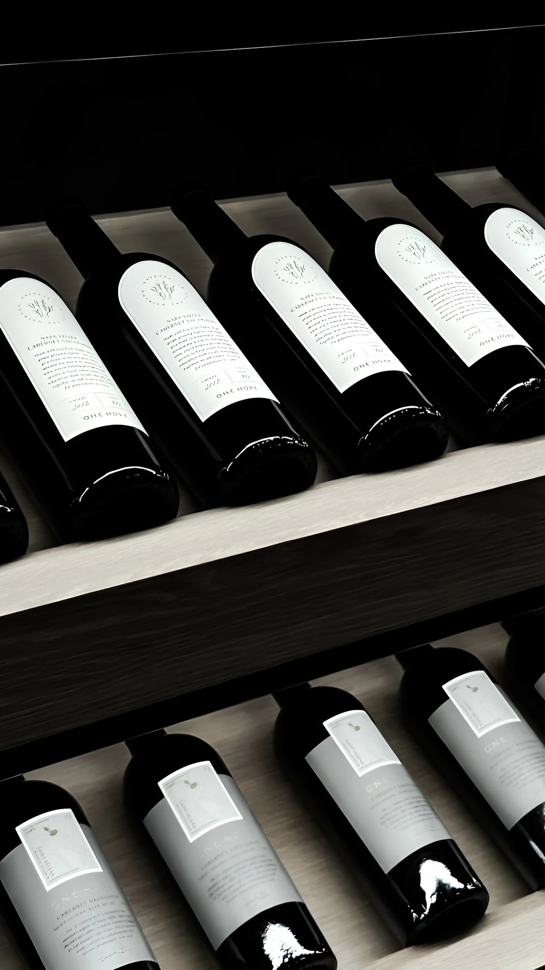 The Importance of Humidity Control in Wine Storage