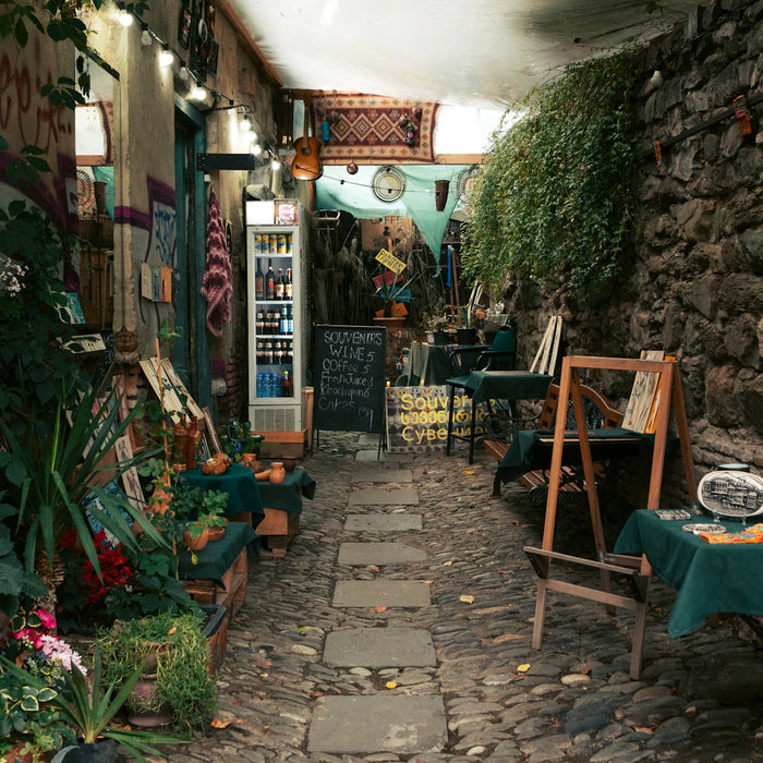 The Ideal Wine Fridge Setup for Beginners