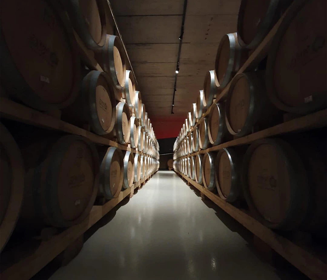 Decoding Wine Aging  Storage A Complete Guide