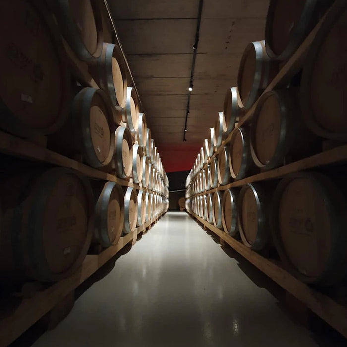 Decoding Wine Aging  Storage A Complete Guide