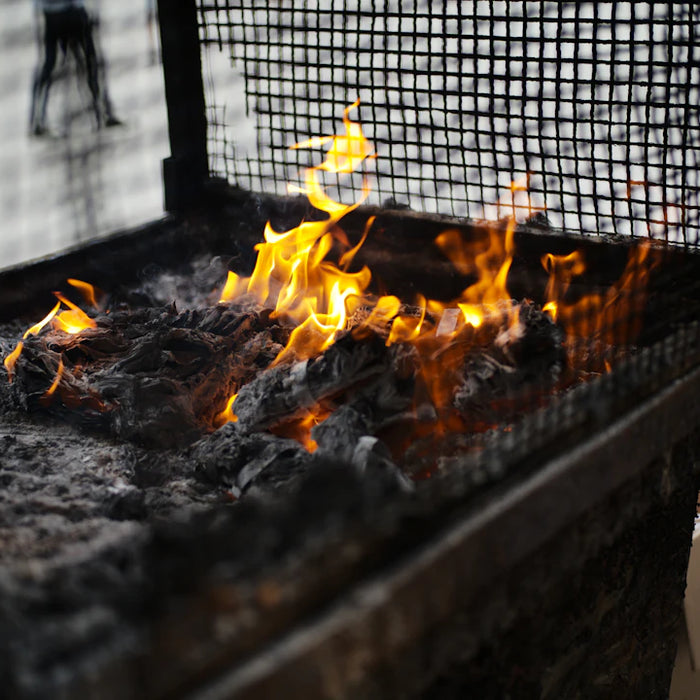 Discover Stylish and Affordable Gas Grills for Outdoor Cooking