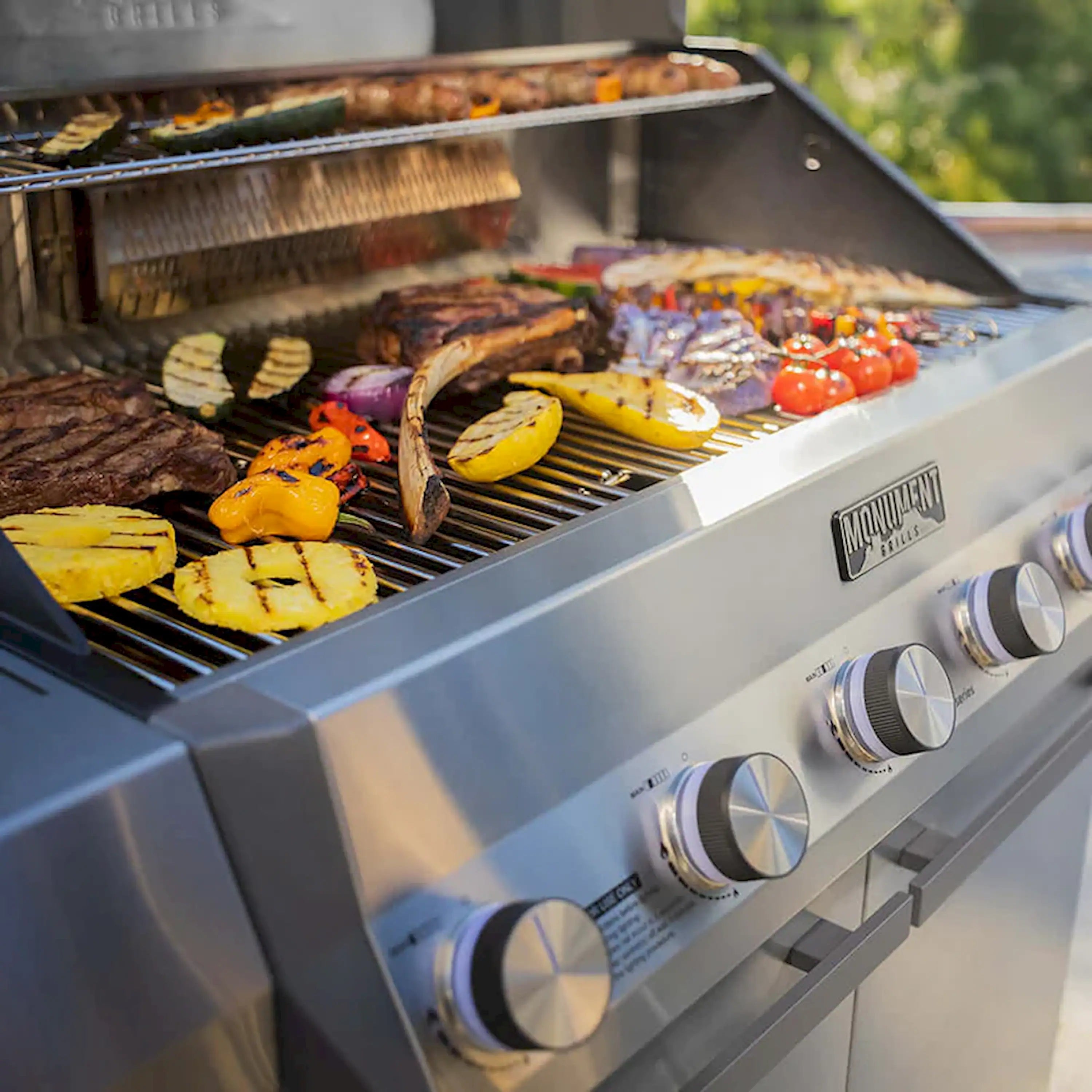 Monument Grills Eminence E605 Gas Grill in Stainless Steel with 6 Burners