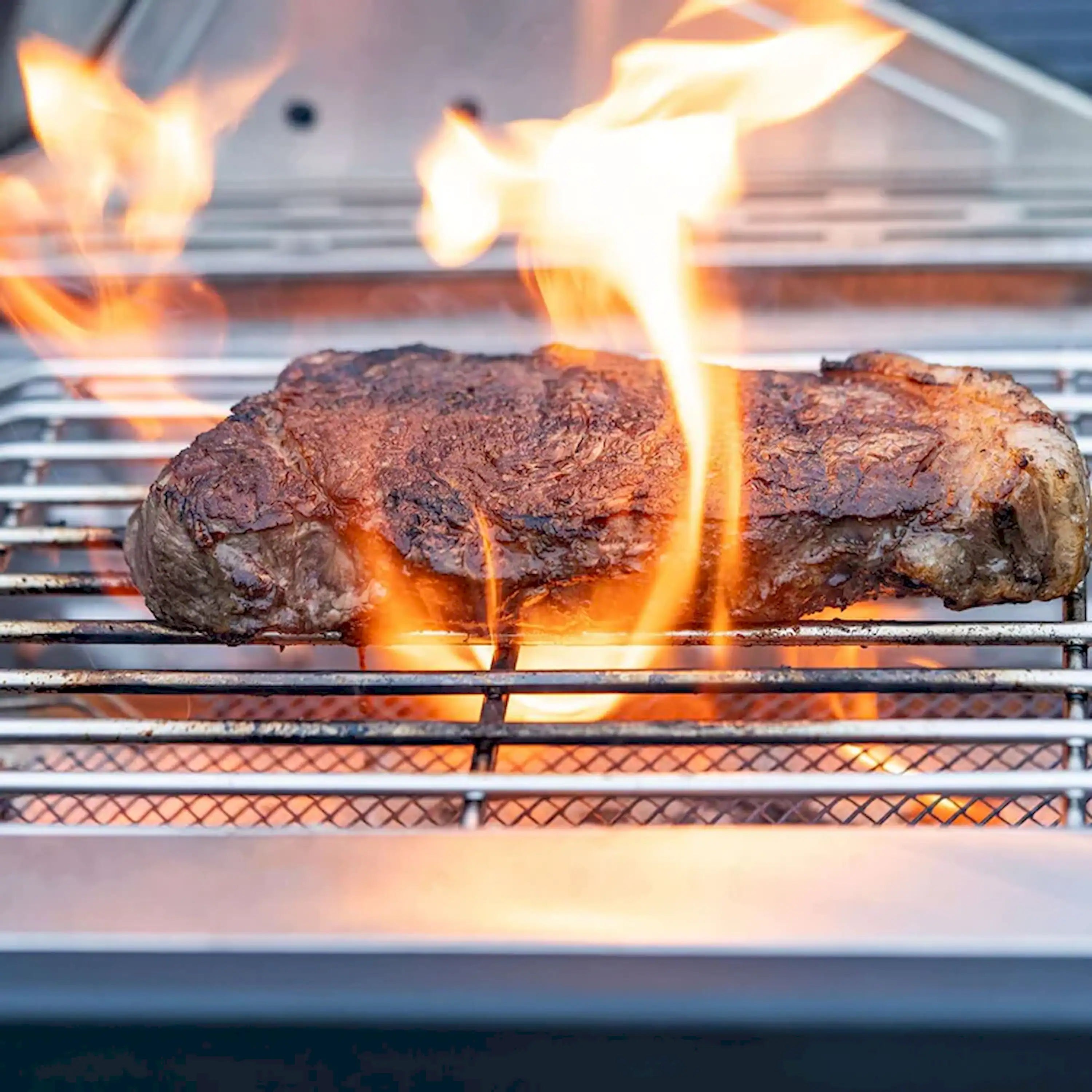 Monument Grills Classic 24367 Infrared Propane Gas Grill in Stainless Steel with 4 Burners & 2 Side Burners