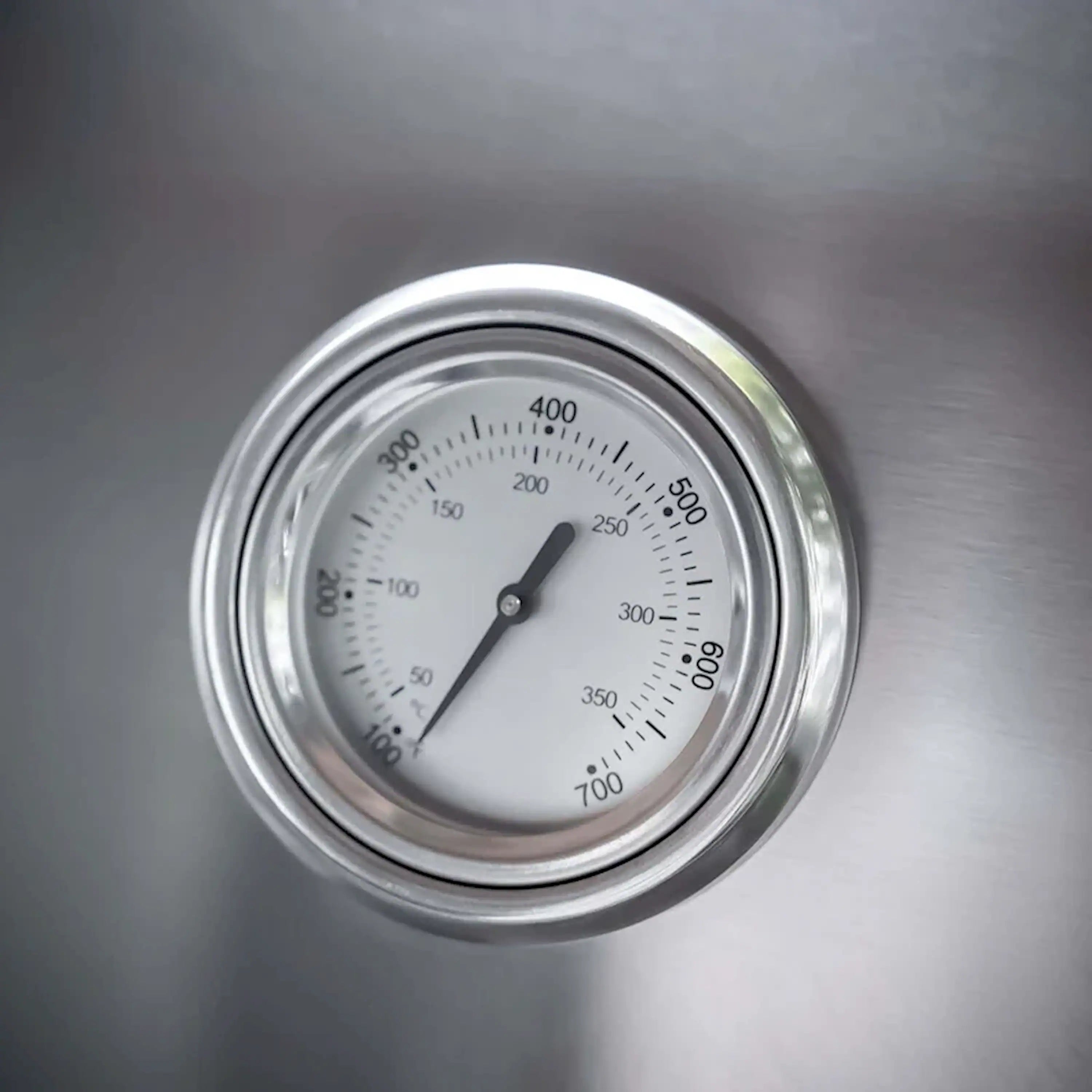 Monument Grills Classic 24367 Infrared Propane Gas Grill in Stainless Steel with 4 Burners & 2 Side Burners