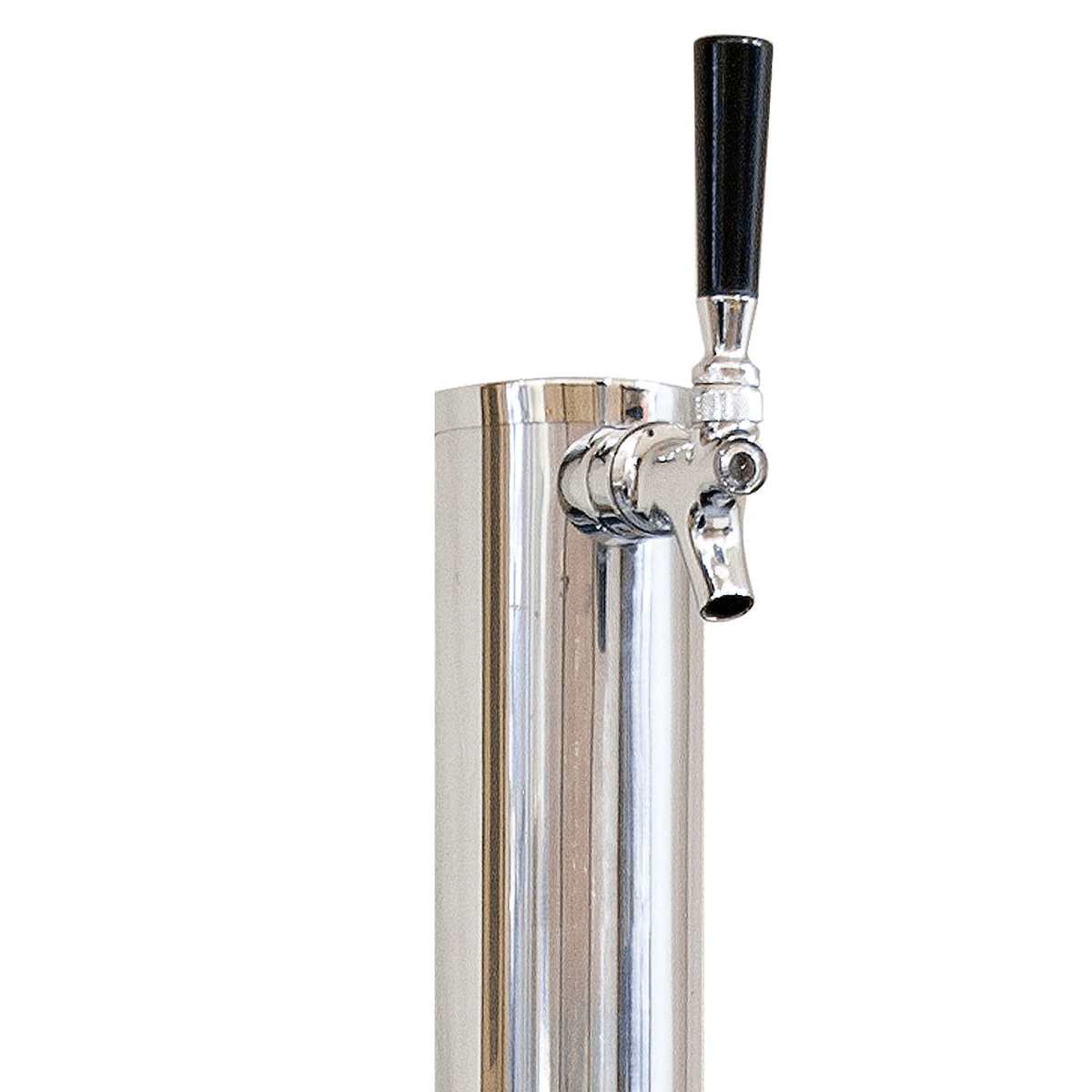 Kegco 20" Wide Stainless Steel Door Built-In Dual Tap Kegerator K199SS-2P